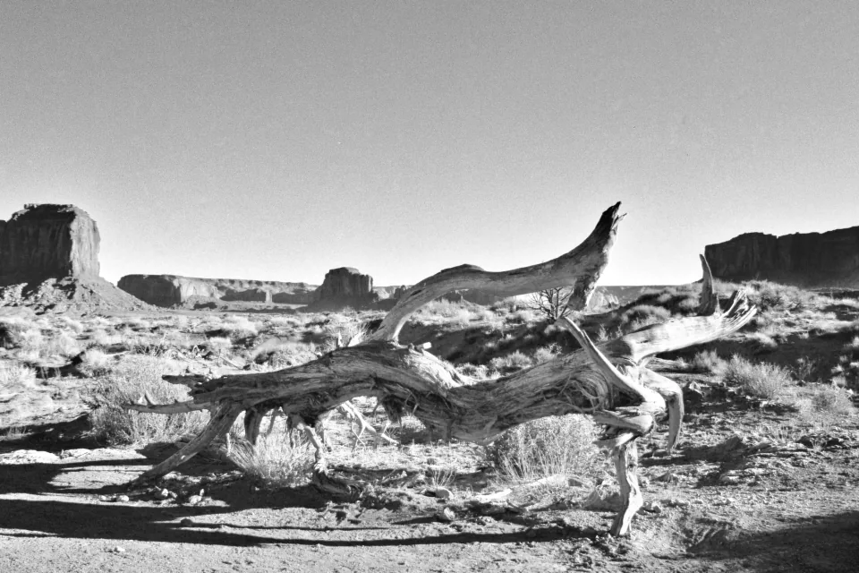 Black-and-white American landscape.